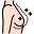 breast-icon